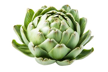 Obraz premium Create a description of a fresh artichoke