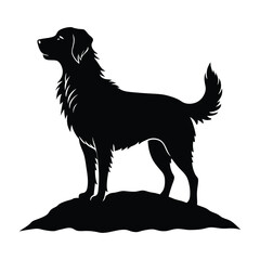 Dog Standing on a Rock Looking into the Distance Silhouette on White Background