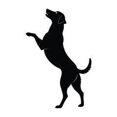 Dog on Hind Legs Reaching Up Silhouette on White Background