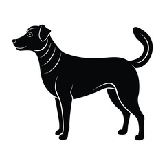 Dog with Wagging Tail on White Background Silhouette