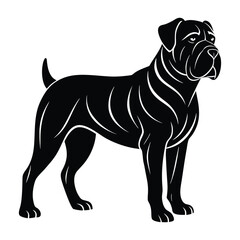 Dogue de Bordeaux Standing Tall with a Strong Jawline Silhouette on White Background