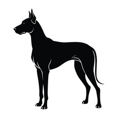 Great Dane Standing Tall with Elegant Posture Silhouette on White Background