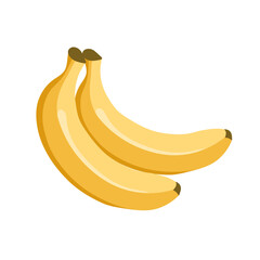 Bananas. Fruit illustration