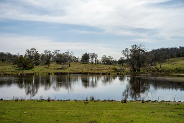 agriculture farming landscape with livestock and crops grown sustainable practices