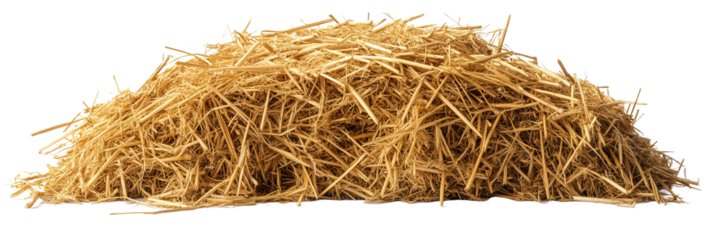 A pile of straw, isolated on transparent background
