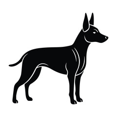 Long Eared Dog Sniffing the Ground Silhouette on White Background