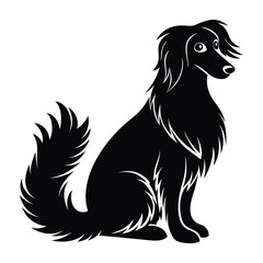 Long Haired Dog Sitting with Curved Fluffy Tail Silhouette on White Background