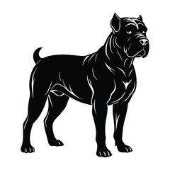Mastiff Standing Powerfully with Broad Chest Silhouette on White Background