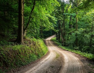 Naklejka premium a winding dirt road disappears into the dense foliage of a lush forest with tall trees and vibrant greenery on either side rural landscape serene path