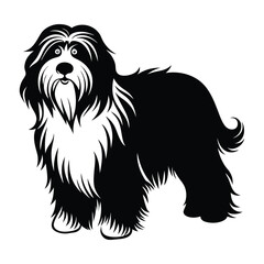 Old English Sheepdog Standing with Thick Shaggy Fur Silhouette on White Background