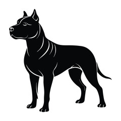Pitbull Standing with Confident Gaze and Strong Pose Silhouette for Stock