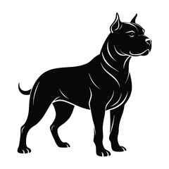 Pitbull Standing with Confident Gaze and Strong Pose Silhouette