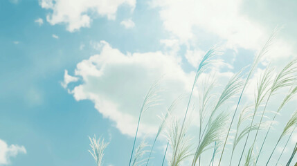 Refreshing Spring Breezes And Vivid Blue Sky and white clouds. Enhancing Nature Campaigns With A Serene