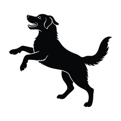 Playful Golden Retriever Jumping with Front Paws Silhouette for Stock