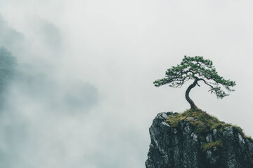 Solitary pine tree on misty mountain cliff capturing majestic natural serenity and tranquility of remote wilderness