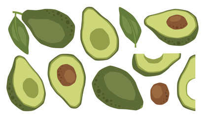 Vector isolated set of avocados, whole, half and slices