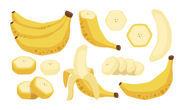 Vector isolated set of bananas, whole, peeled and slices