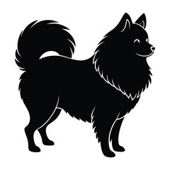 Samoyed Standing with Fluffy Tail Over Its Back Silhouette for Pet Stock