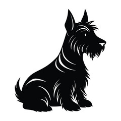 Scottish Terrier Sitting Proudly with Pointed Ears Silhouette for Stock Illustration