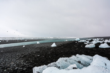 Icebergs melting on black sand beach in iceland