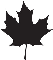 Silhouette maple. Hand drawn autumn vector illustration. 