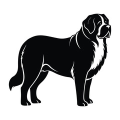 St Bernard Standing with Strong Massive Build Silhouette for Stock Illustration