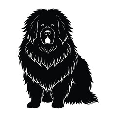 Tibetan Mastiff Sitting with Thick Mane-Like Fur Silhouette for Pet Stock