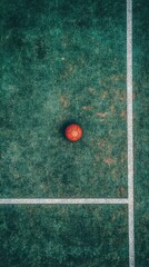 Single Soccer Ball on a Green Playing Field
