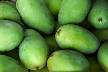 Fresh green mangoes piled together, showcasing their smooth texture and vibrant color. Perfect for concepts of tropical fruit, organic produce, healthy eating, and market freshness.