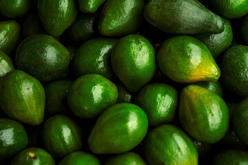 Fresh green avocados piled together, showcasing their natural texture and vibrant color. Perfect for concepts of healthy eating, organic food, and tropical fruit freshness.