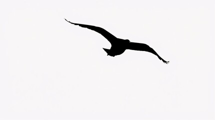 Naklejka premium Minimalist Grayscale Silhouette of a Bird in Flight with Elegant Curves and Serene Aesthetic