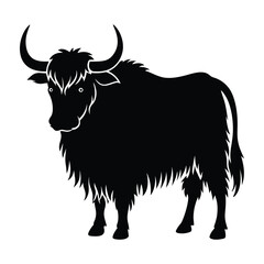 Yak standing with shaggy fur and curved horns silhouette white design