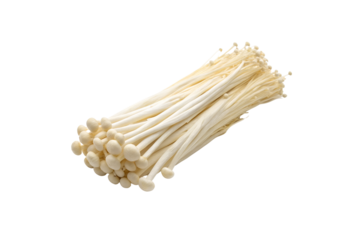 Enoki Mushroom Vegetable PNG Images – Isolated, No Background, Ready for Design Use