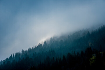 düstere Hügel im Schwarzwald mit Wald die im Nebel liegen und einer mystischen Stimmung