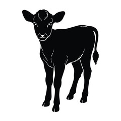 Calf standing with small horns just starting to grow silhouette