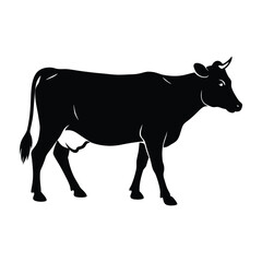 Dairy cow walking with tail slightly raised silhouette on white