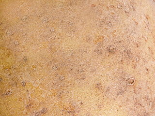 Potato macro photo as background. Food photo, potato texture.