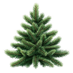 Obraz premium Lush Green Pine Tree Branches with Detailed Texture and Fresh Look