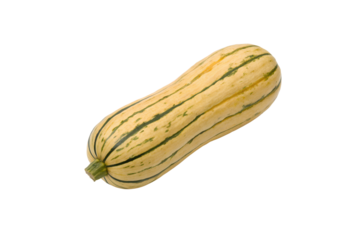 Delicata Squash isolated on white background