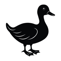 Duck waddling with beak forward on white silhouette design