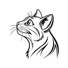vector illustration of a cat