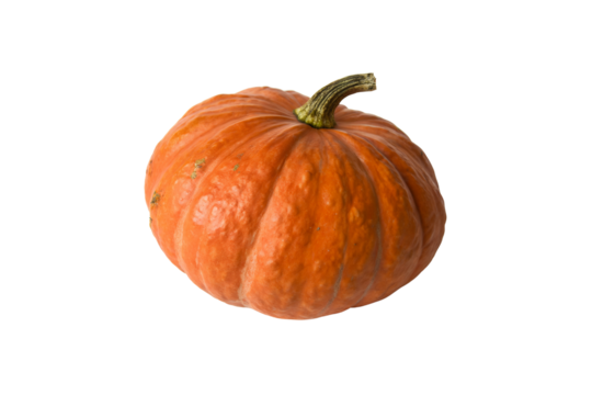 Fresh and Organic Hubbard Squash Vegetable PNG Images – High-Resolution Transparent Graphics