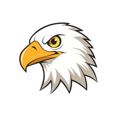 Fototapeta premium eagle head