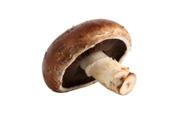 Cremini Mushroom Vegetable PNG Download – Crisp & Clear Transparent Images