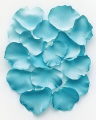 Delicate Blue Rose Petals Arranged Elegantly on Soft Background