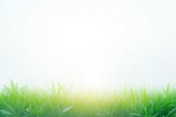 Obraz premium A clean bright background with the glare of sunlight providing copy space with fresh grass on the bottom.