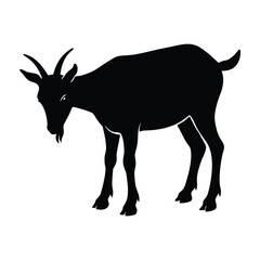 Nanny goat grazing with head lowered silhouette on white art