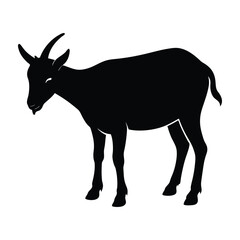 Nanny goat grazing with head lowered silhouette on white design