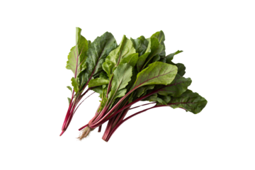 Beet Greens Vegetable PNG Images – Isolated, No Background, Ready for Design Use