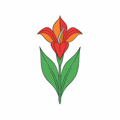 red flower isolated on white